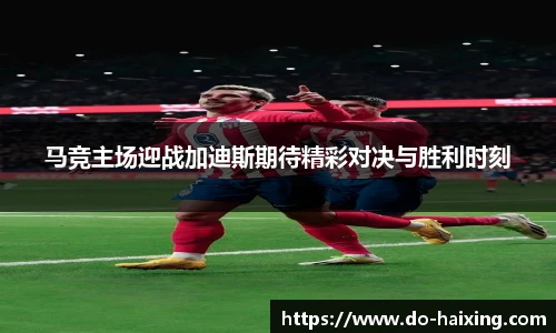 海星体育